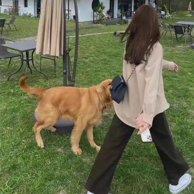 安德鲁克里斯和狮子